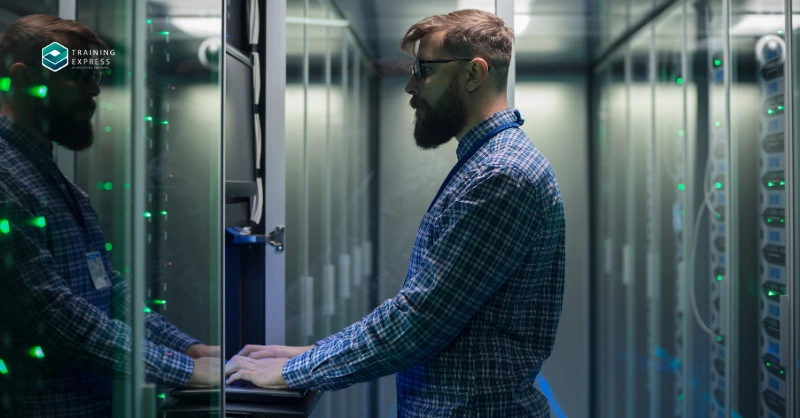 IT Director