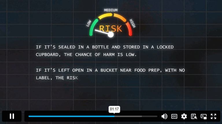 Define Risks And Hazards