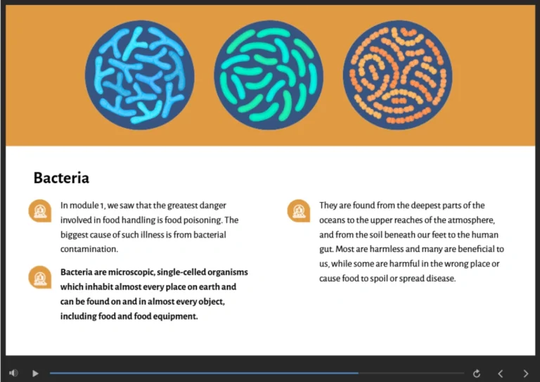 Food Hygiene Level 2 Sneak Peek
