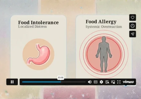 Sneak Peek of Food Hazard Management Physical, Chemical, and Allergenic Safety