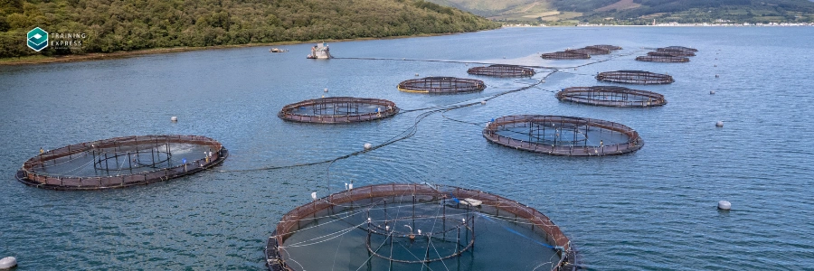 Fisheries Manager | Highest Paying Marine Biology Jobs