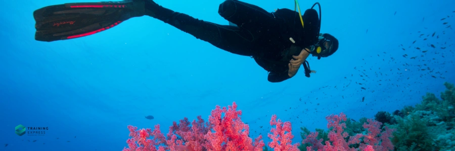 Highest Paying Marine Biology Jobs by Sector