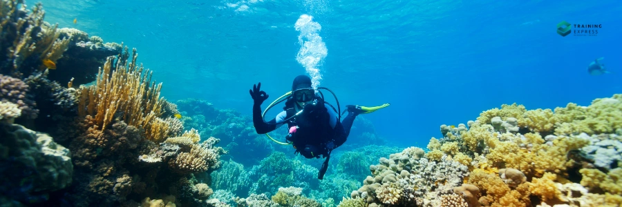 How to Increase Your Earnings in Marine Biology