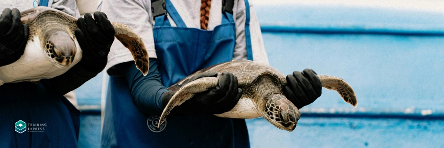Marine Biology Professor