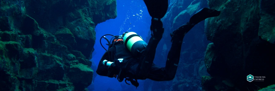 Marine Conservation Manager | Highest Paying Marine Biology Jobs