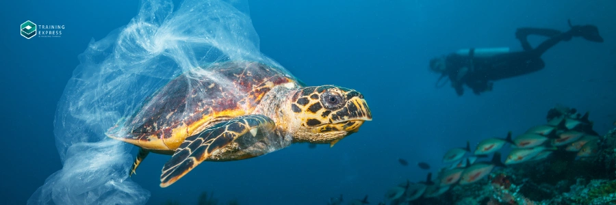 Marine Resource Economist | Highest Paying Marine Biology Jobs