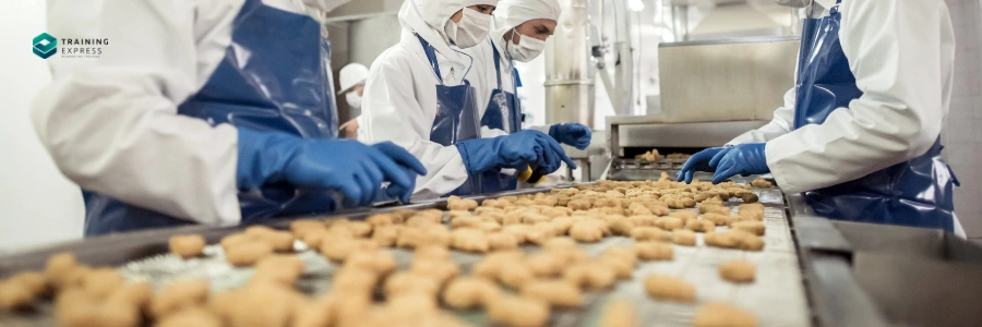 What Is the Cheapest Online Food Hygiene Certificate in the UK 2026