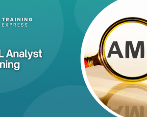 AML Analyst Training