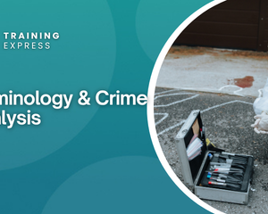 Criminology & Crime Analysis