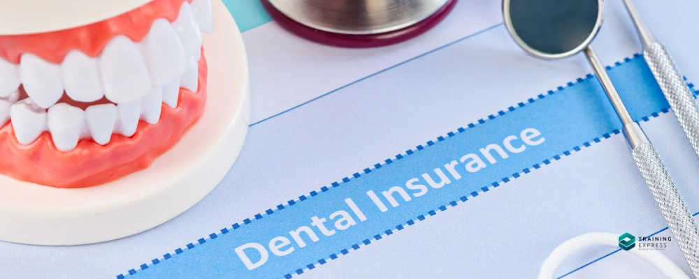 Does Dental Insurance Cover Root Canal Treatment