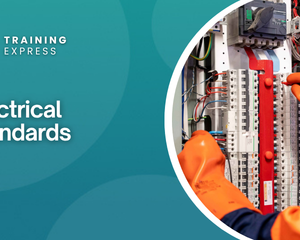 Electrical Standards