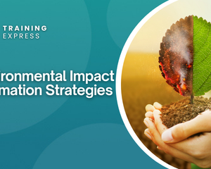 Environmental Impact Estimation Strategies