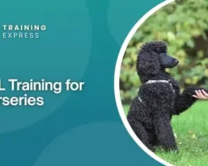 DSL Training for Nurseries