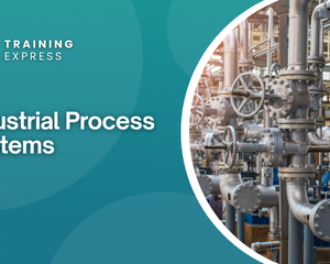 Industrial Process Systems