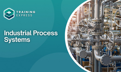 Industrial Process Systems