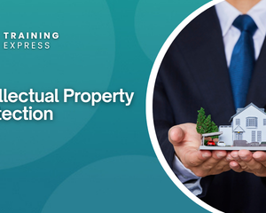 Intellectual Property Protection