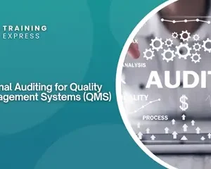Internal Auditing for Quality Management Systems (QMS)