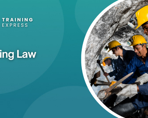 Mining Law