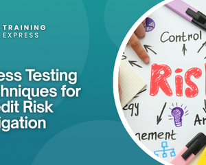 Stress Testing Techniques for Credit Risk Mitigation