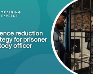 Violence reduction strategy for prisoner custody officer