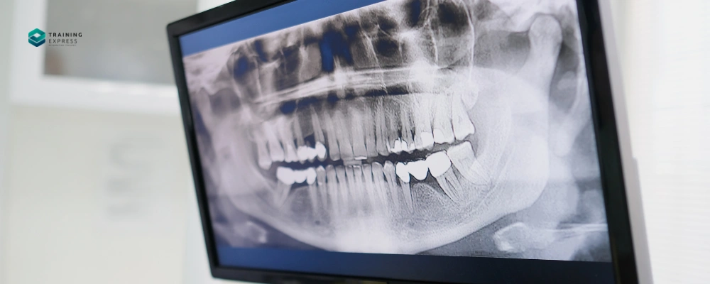 When Should I Call an Endodontist