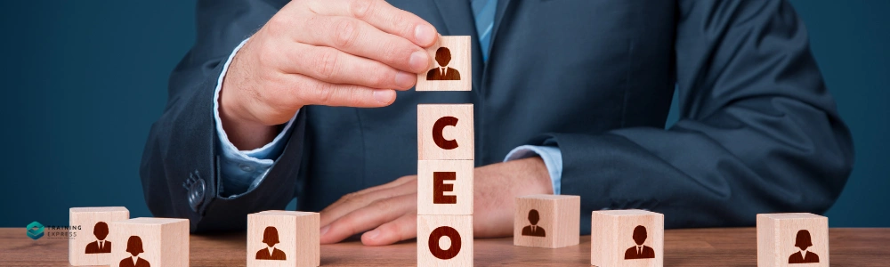 Chief Executive Officer (CEO)