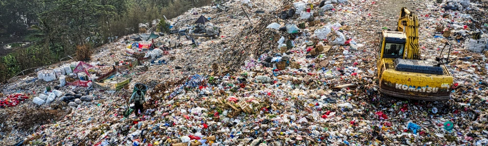 Cleaning, Decontamination and Waste Management